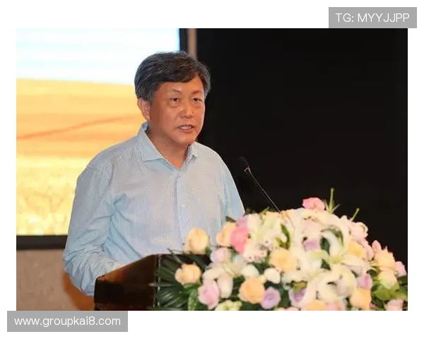 凯发真人集团合作伙伴与品牌联盟：打造行业领先的线上娱乐平台